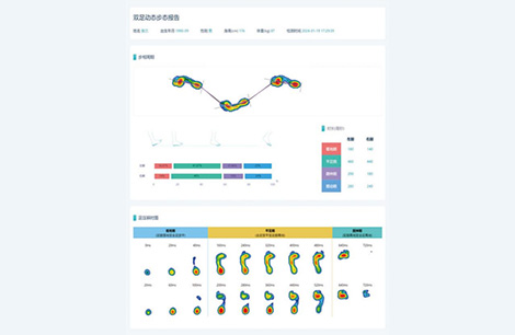 Bi-foot Dynamic Gait Report