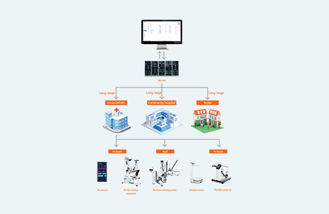 Information Interconnection