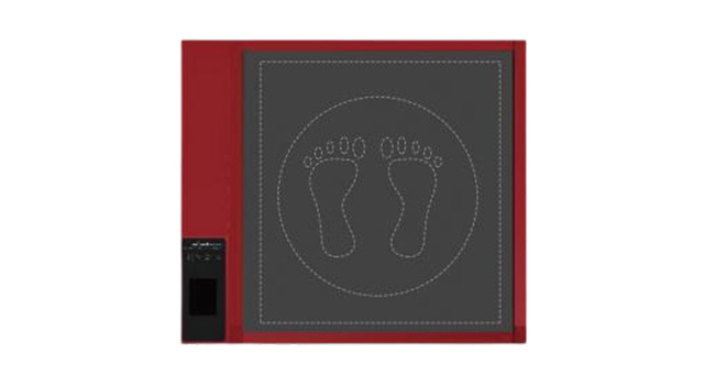Plantar Pressure Analysis System