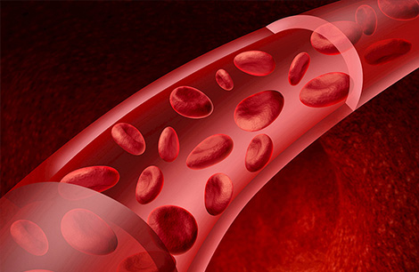 Promote blood circulation and improve metabolism
